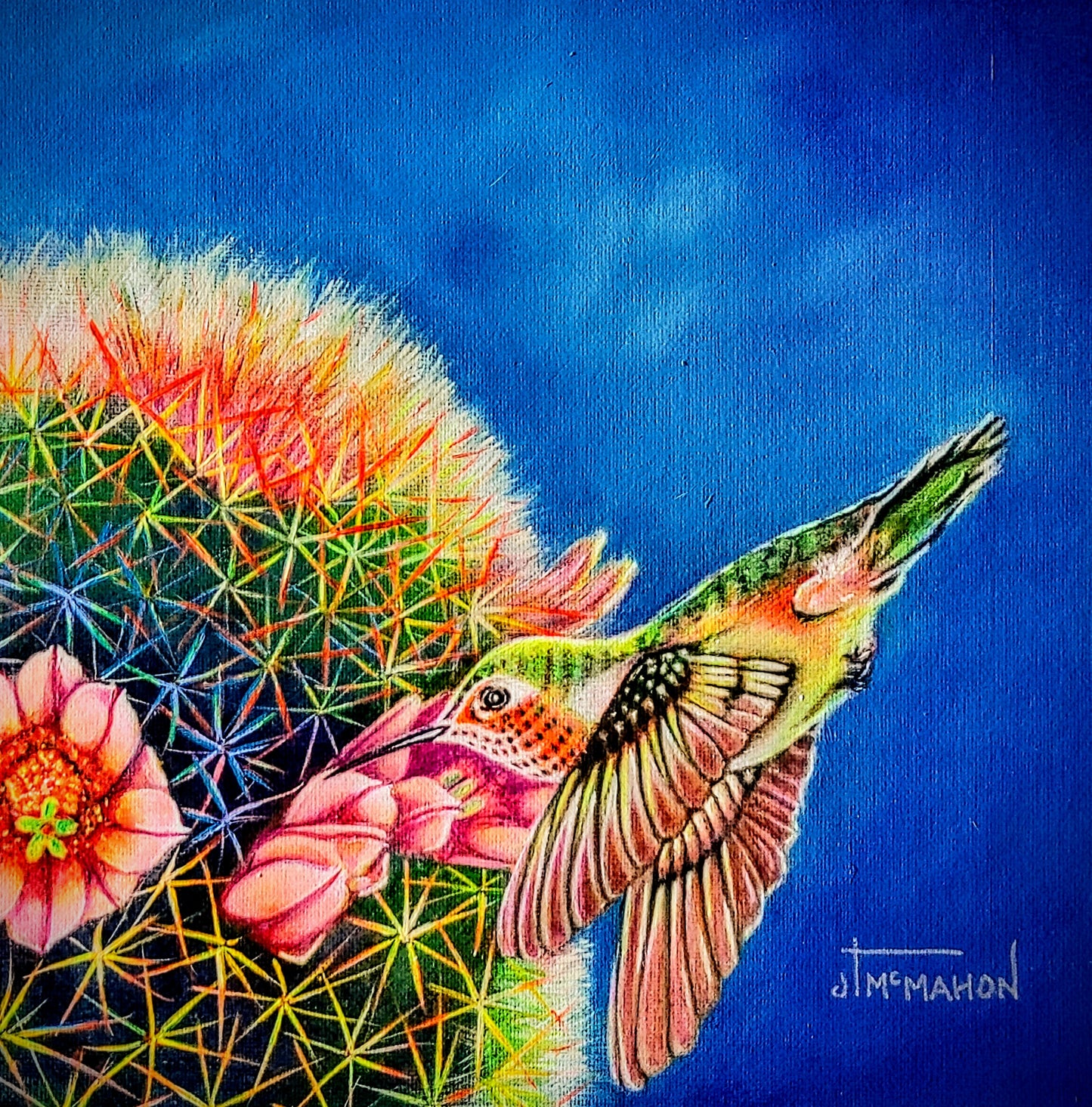 Colibrí en el desayuno