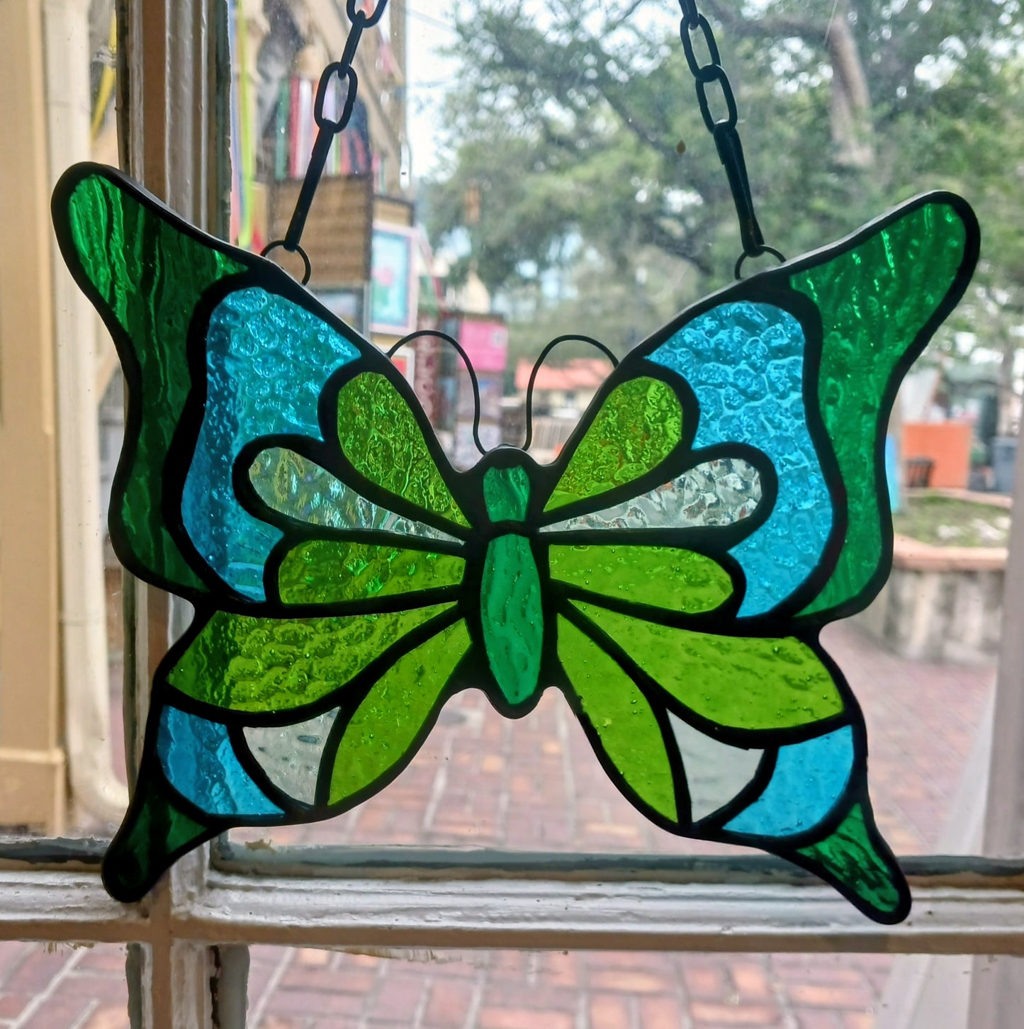 Blue and Green Butterfly