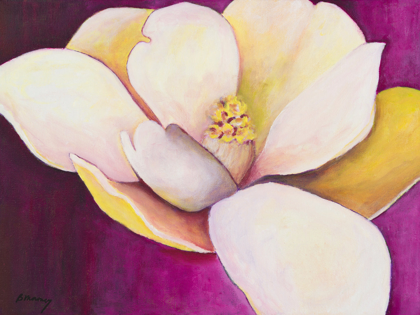 Magnolia Blossom