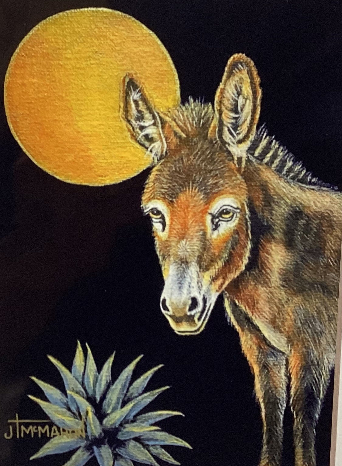 La Luna de Burrico