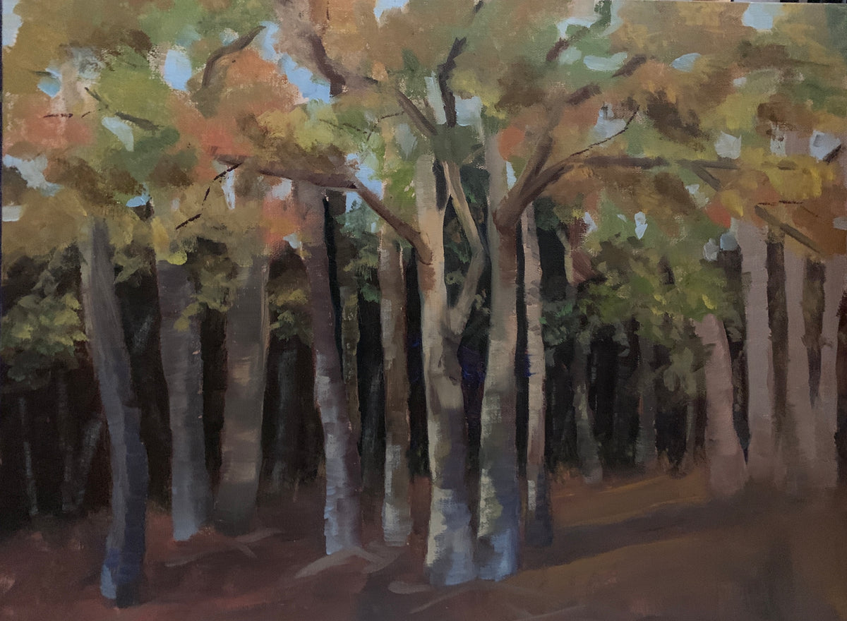 The Woods