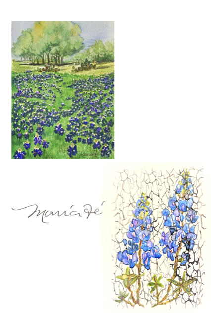 2 Cards: Tx Landscape & Bluebonnets