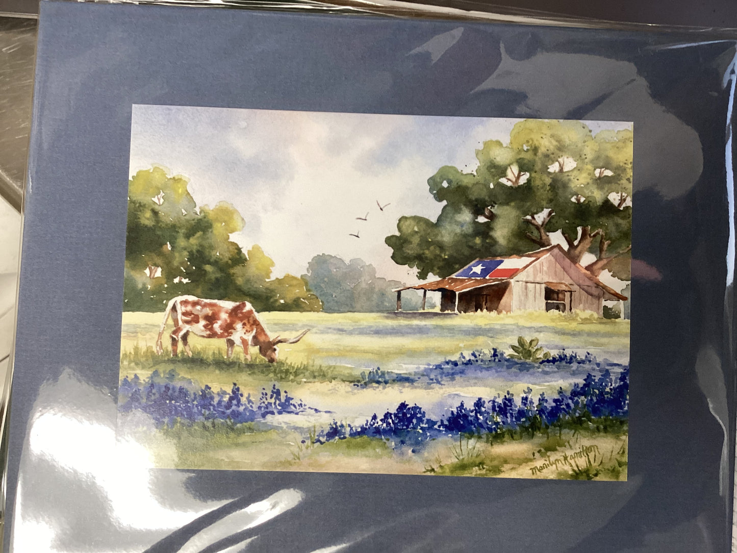 Springtime in Texas