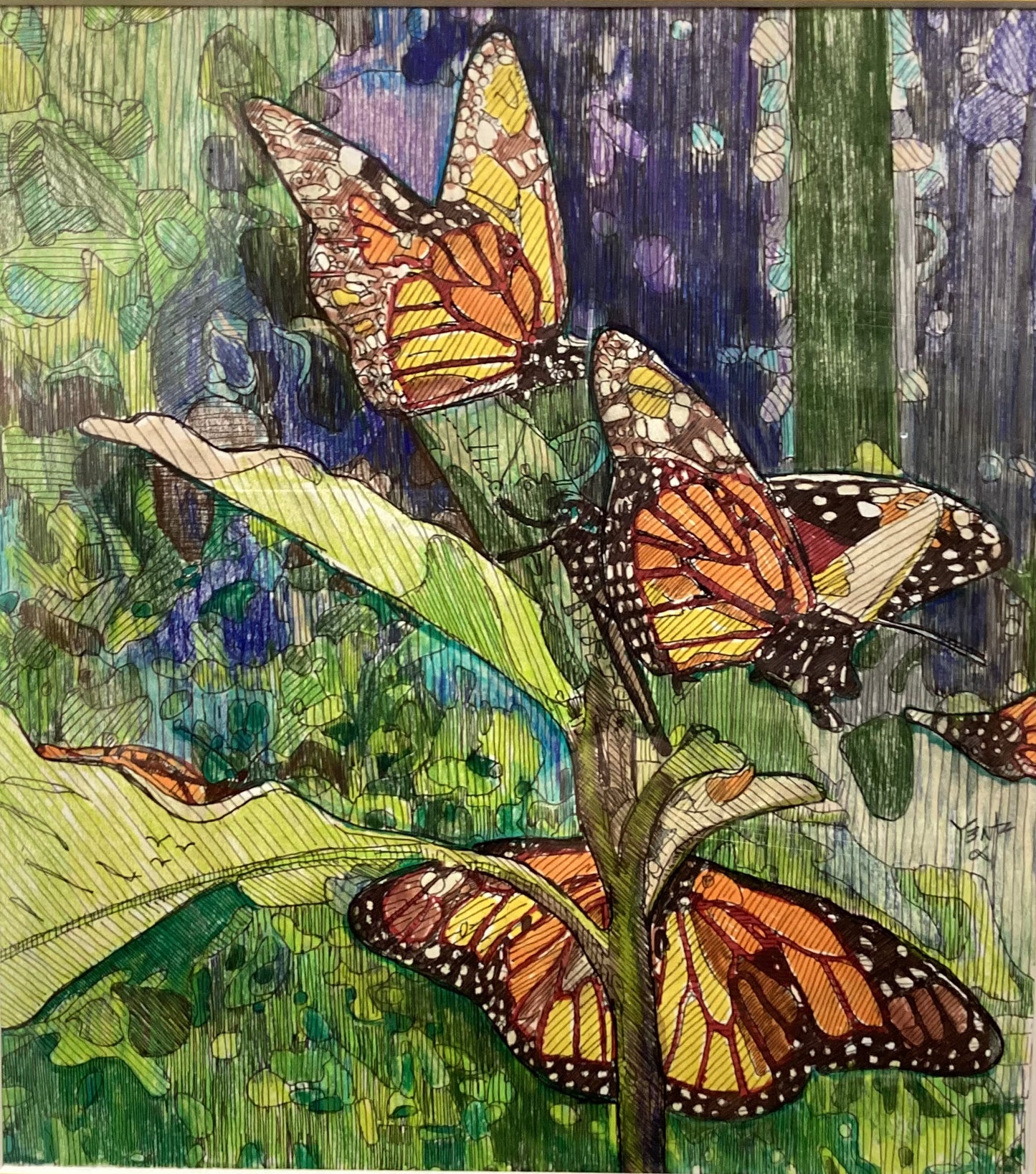 Butterflies Are Free