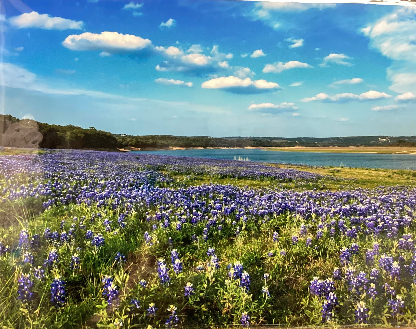 Campo azul