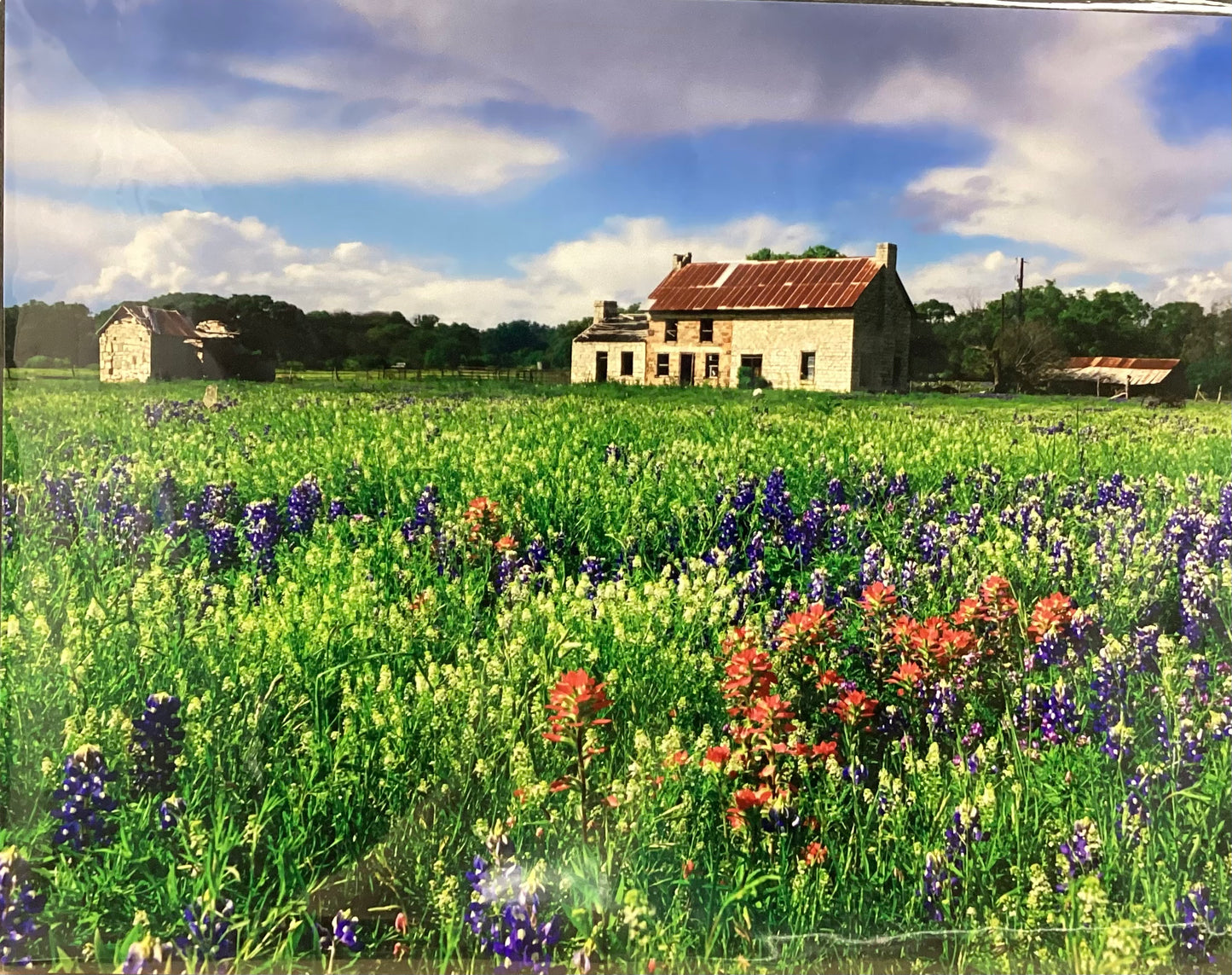 Casa Bluebonnet