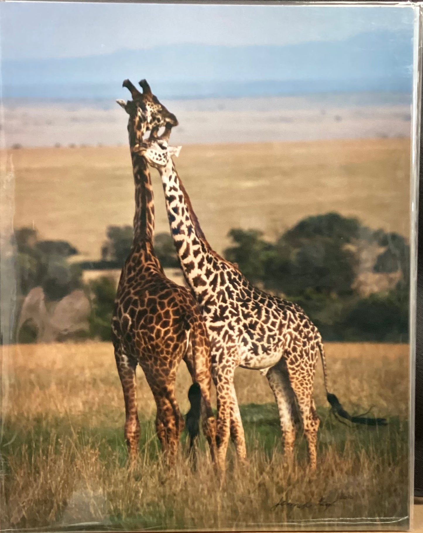 Necking