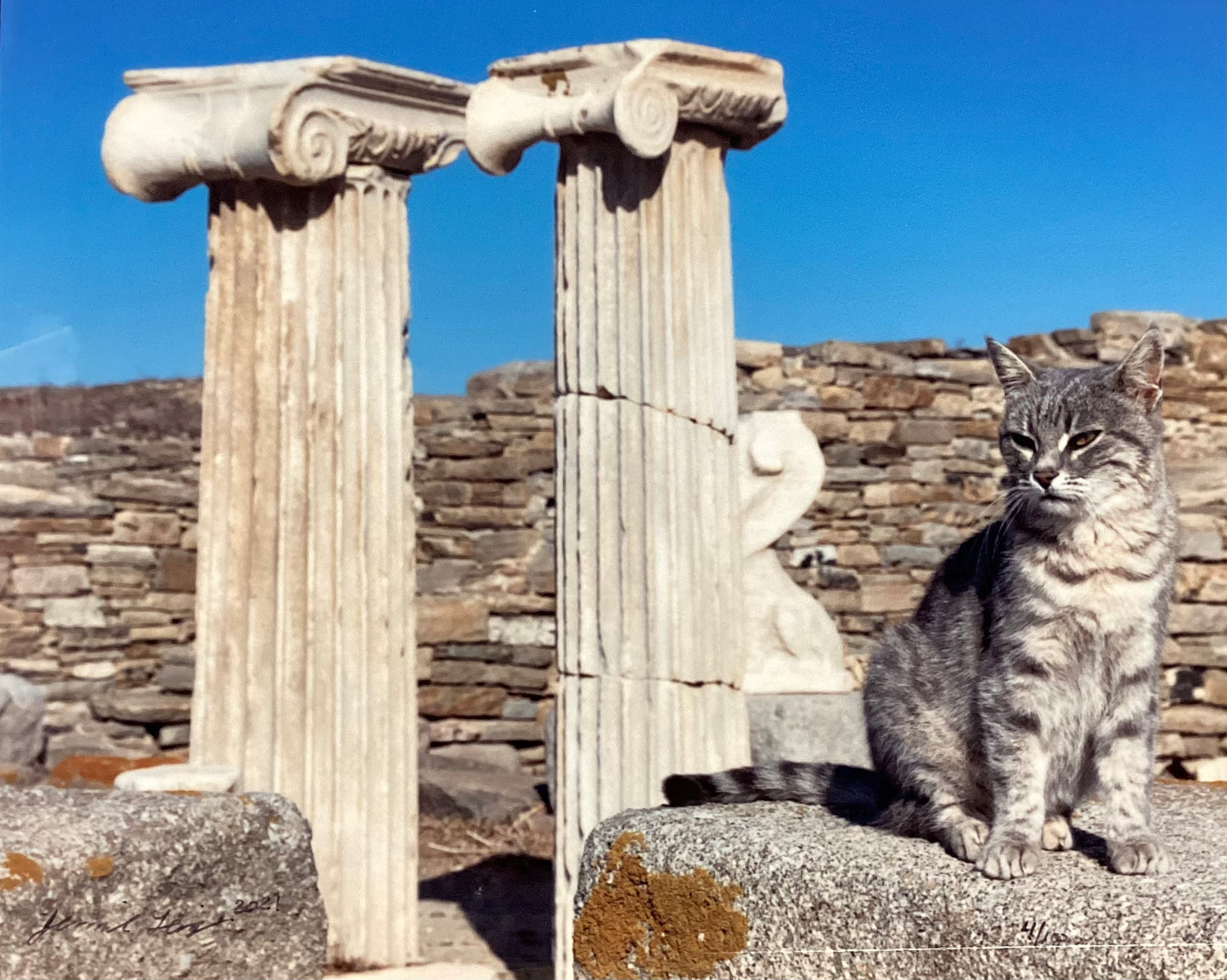 Guardianes de las Ruinas