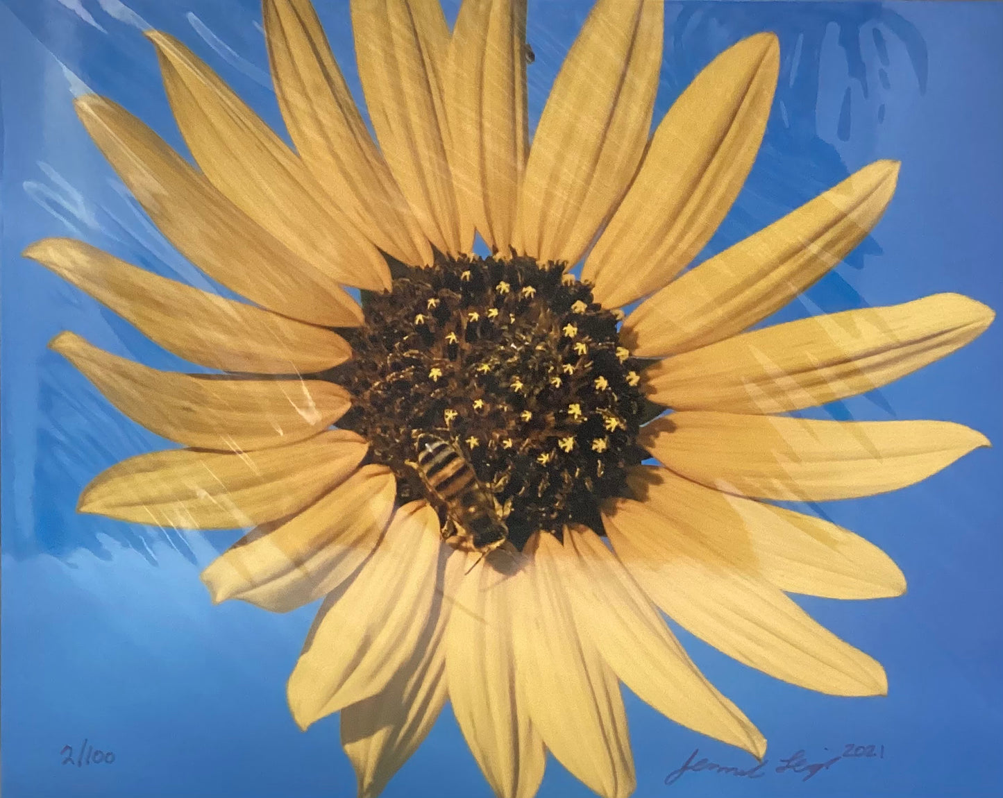 Bee Positive