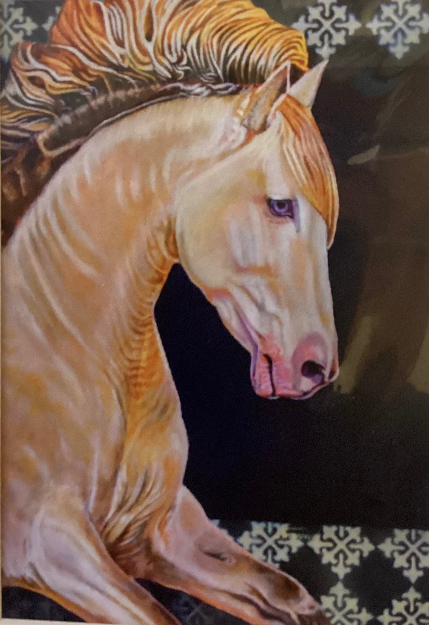 Compañero 5x7 to 8x10