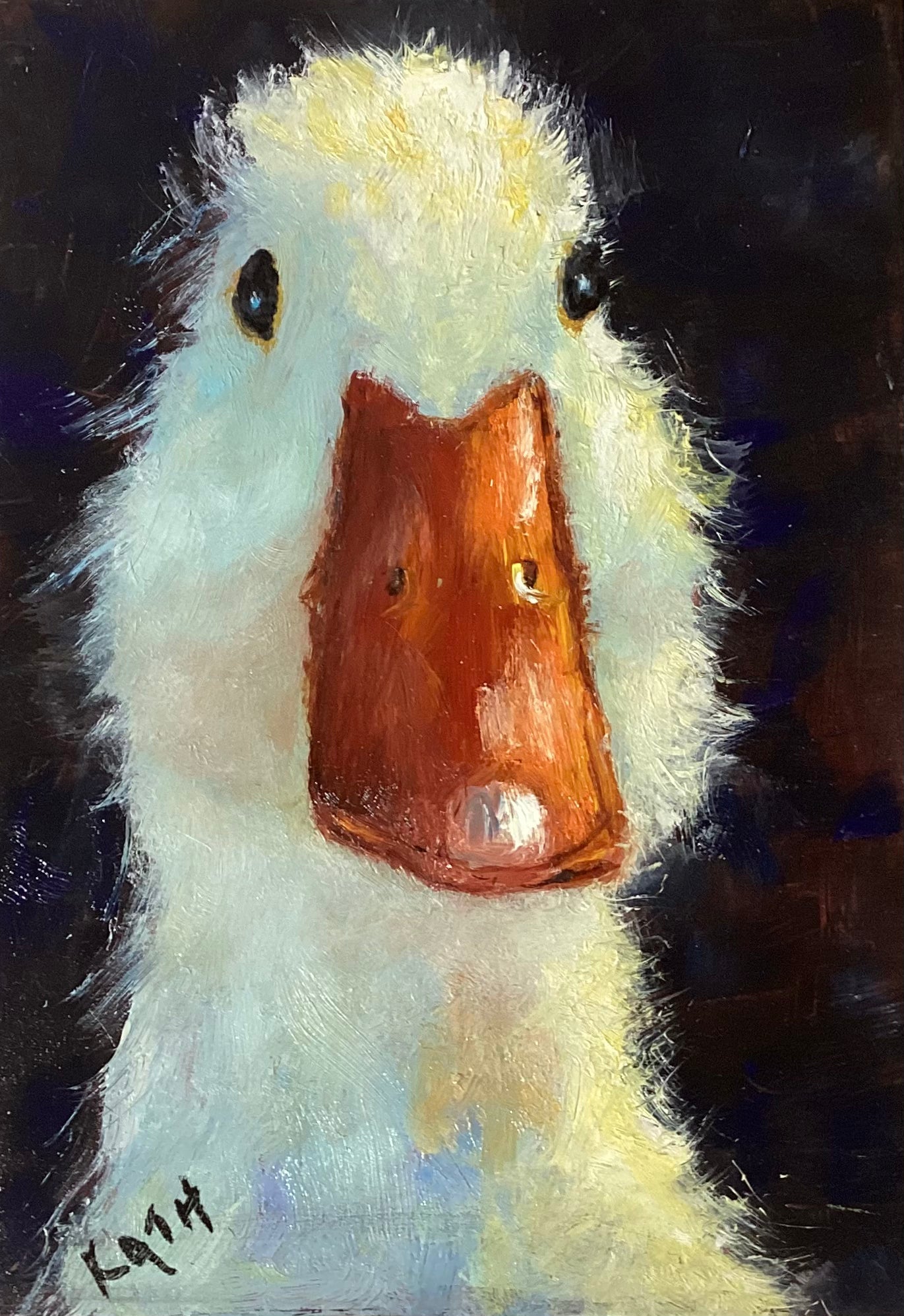 Pato del paseo fluvial, Joe