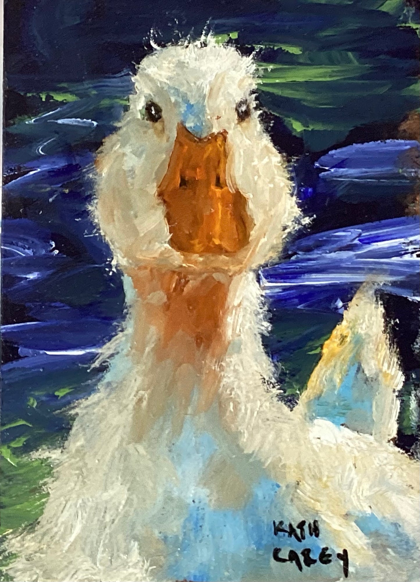 Pato Kem del paseo fluvial