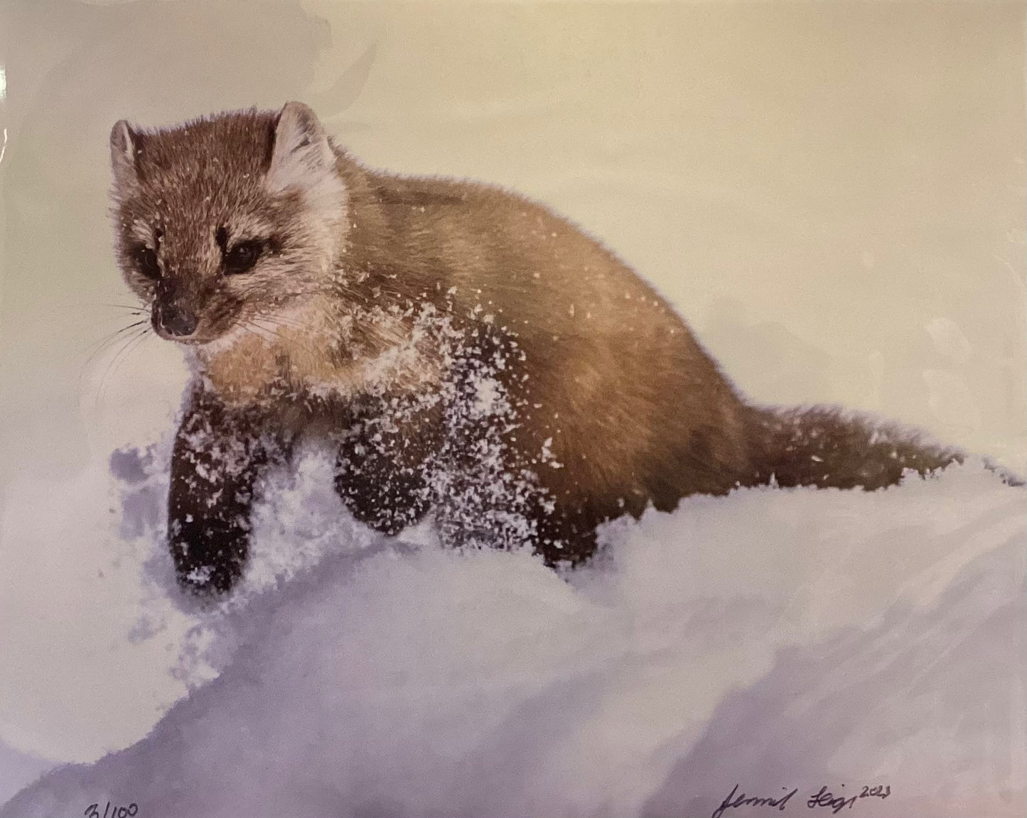 Dashing Through The Snow