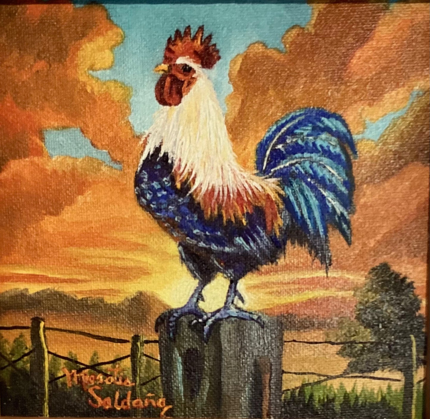 Rooster