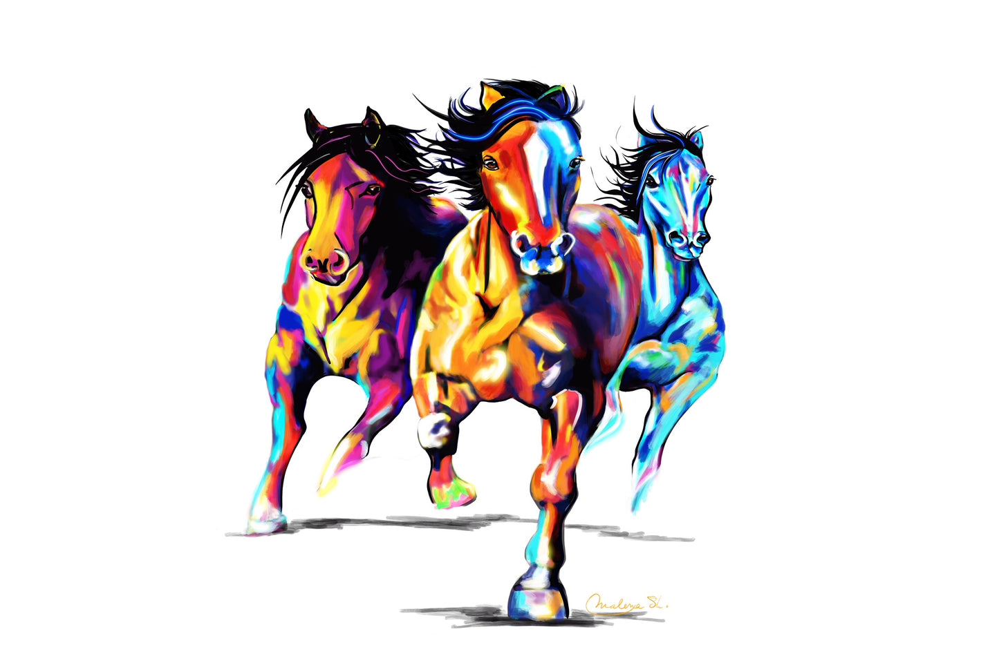 The Race
