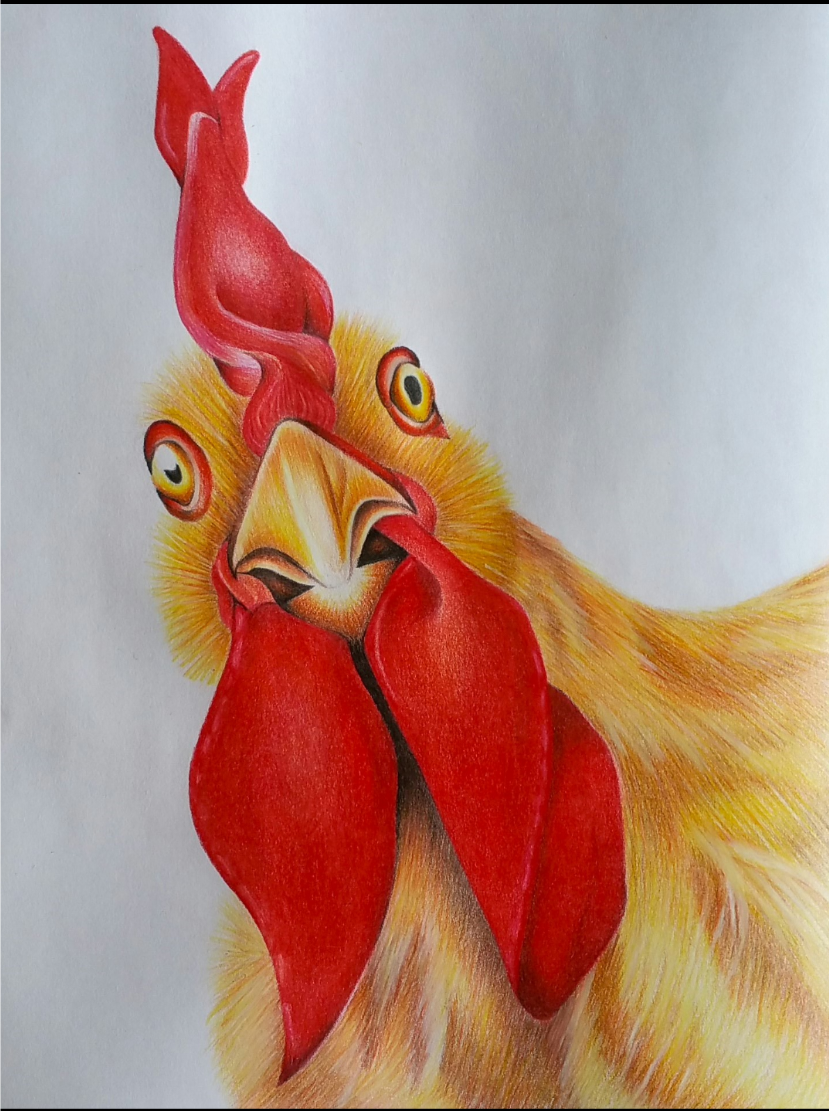 Impresión de 5x7 de "¿Qué está pasando?"