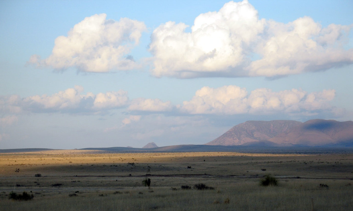 West Texas Landscape