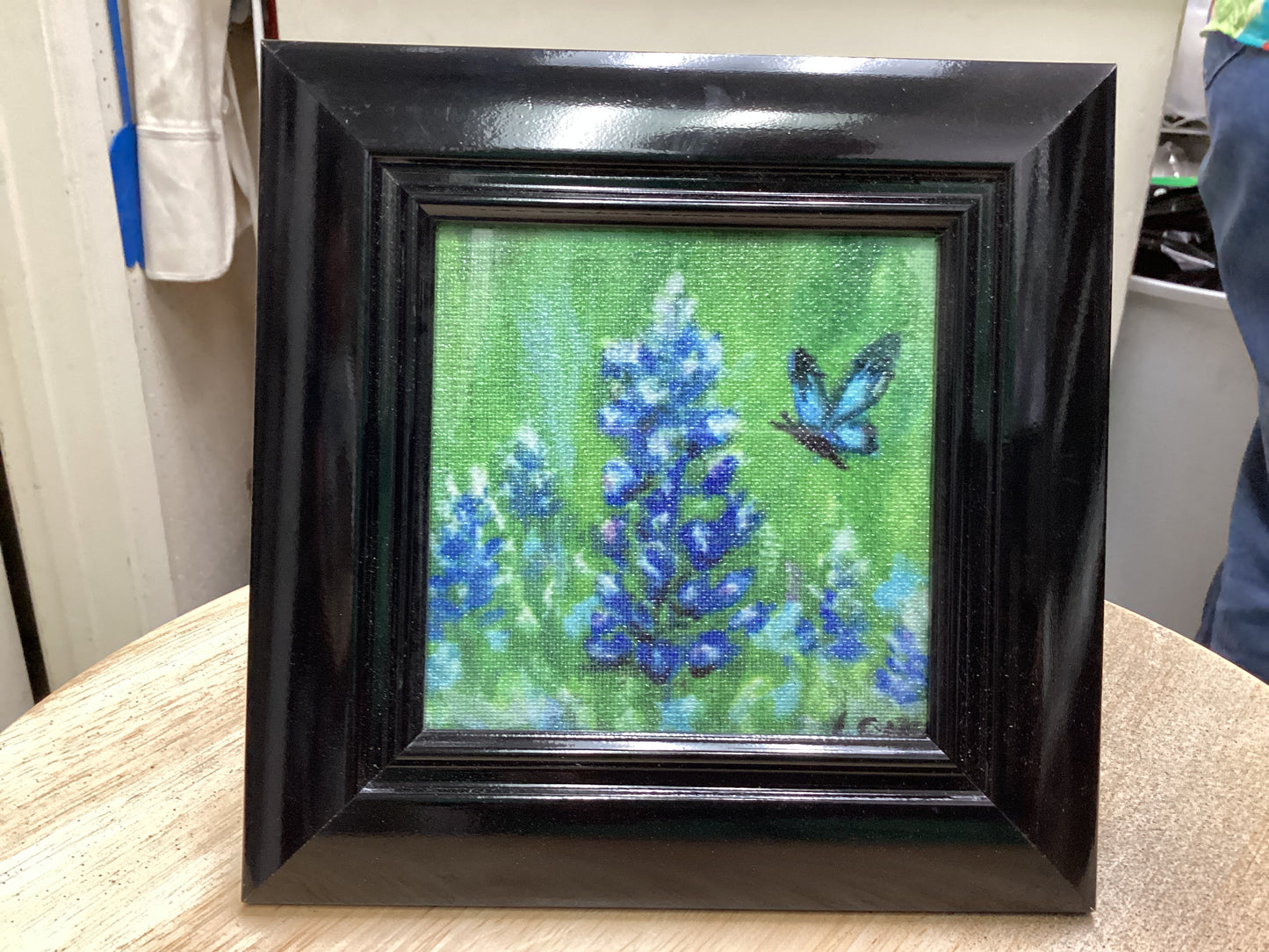 Texas Bluebonnets with Butterfly Embellished Canvas Print