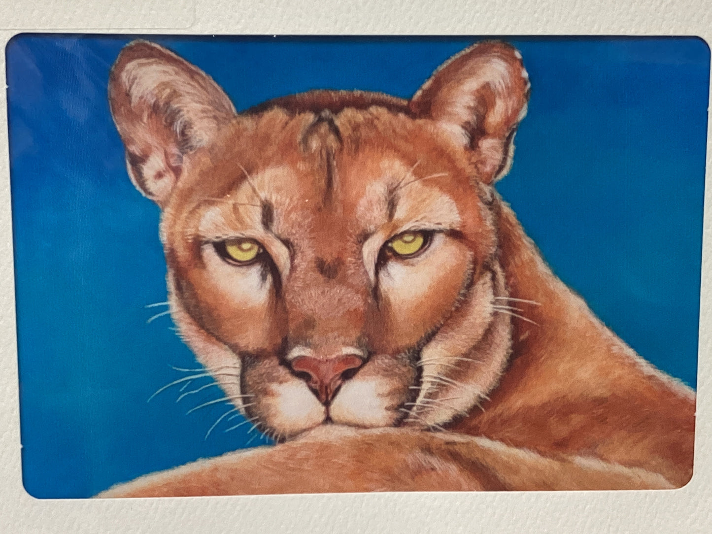 Juego de 2 cartas 'H'