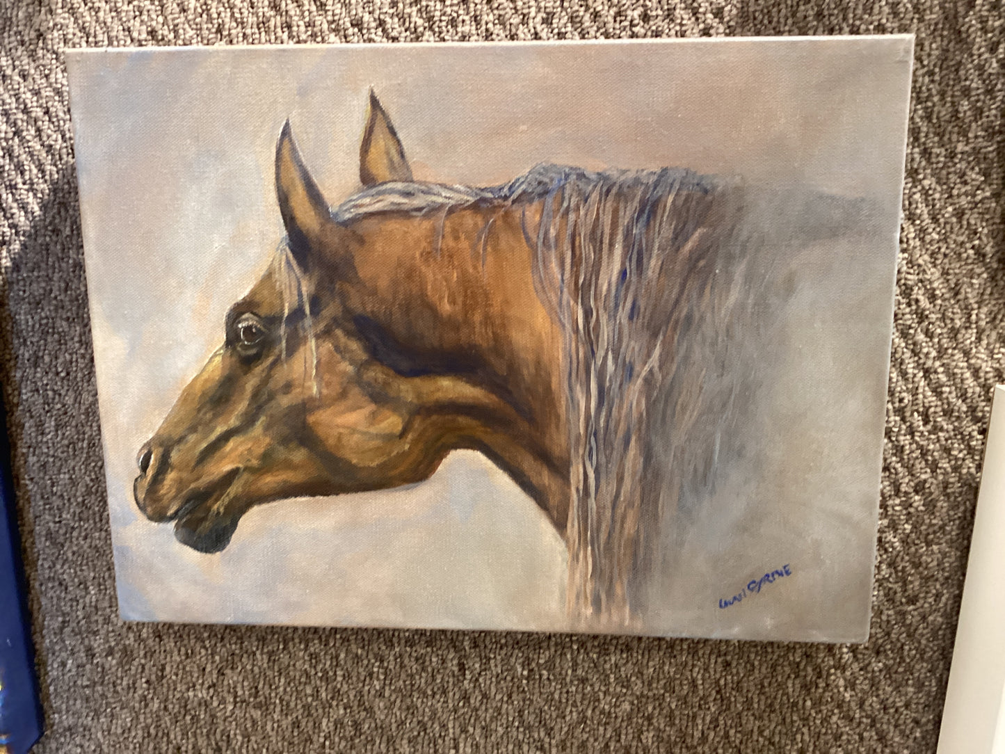 Horse portrait
