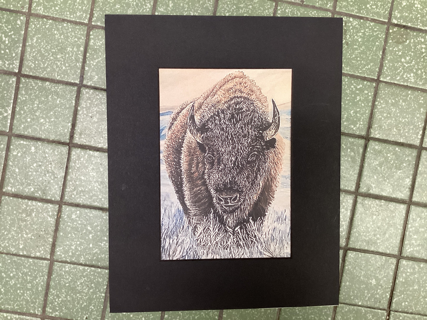 Buffalo in Snow Reproduction Print