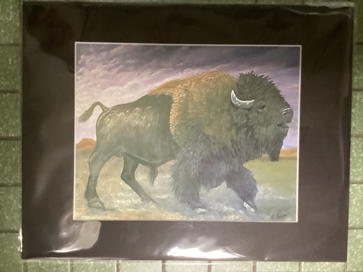 Charging Bison Print