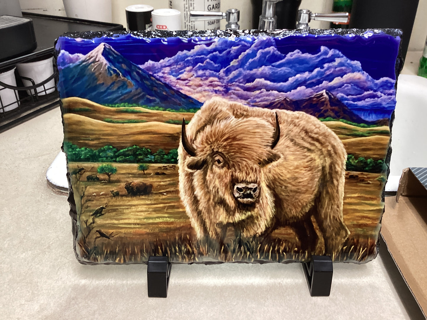Majestic Bison Slate 5/25