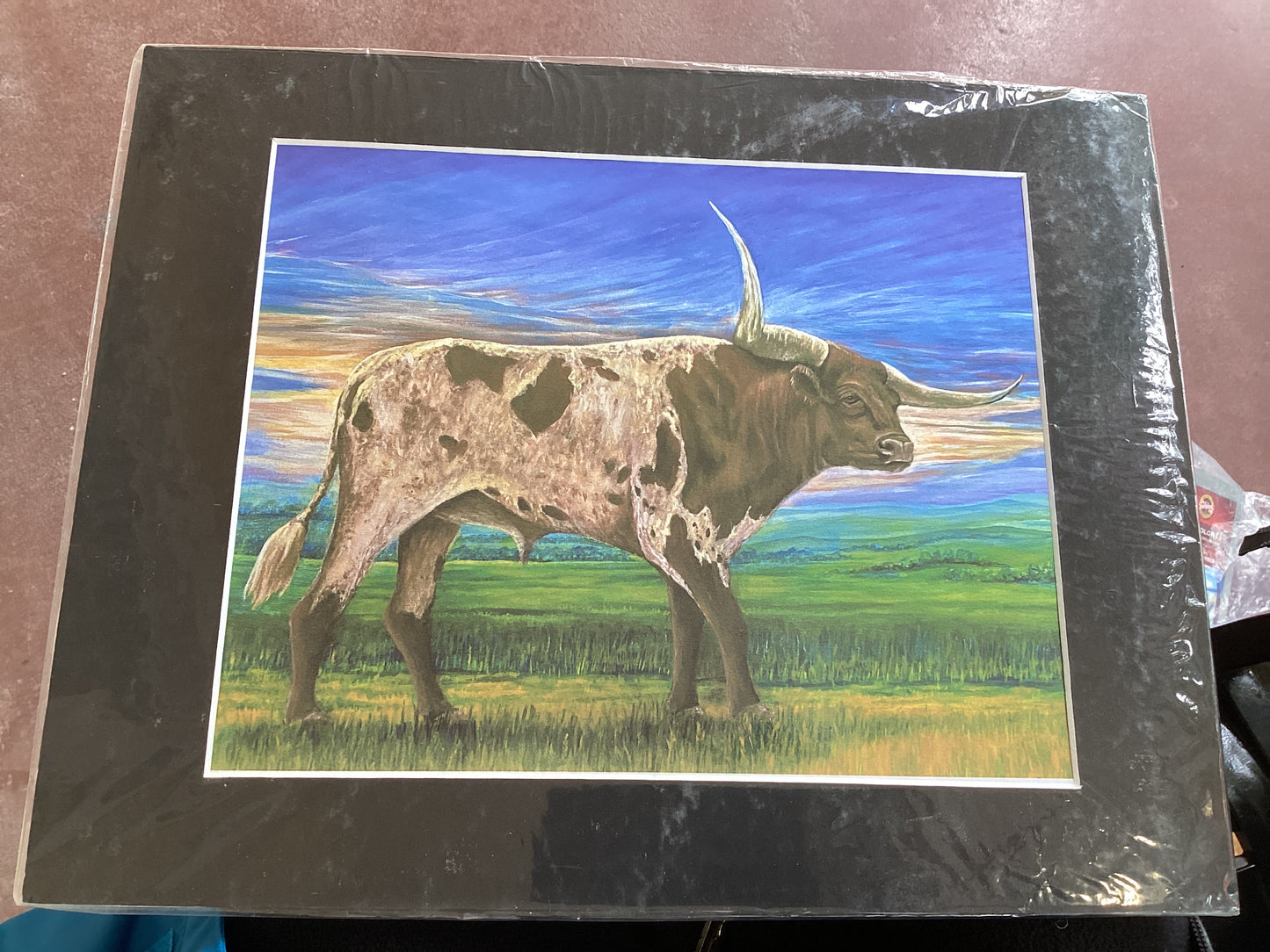 Texas Longhorn matted print
