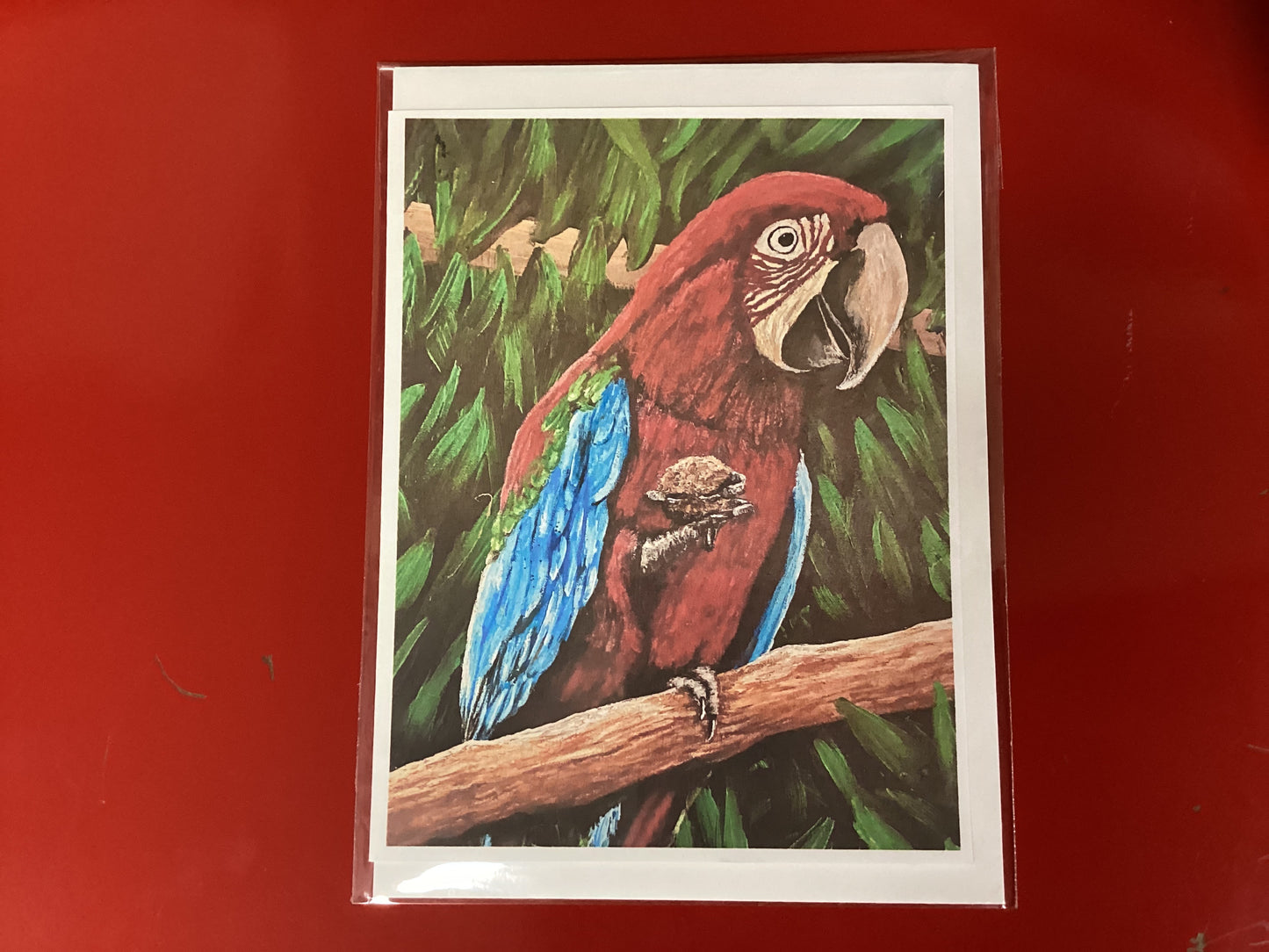 Sammy Scarlet Macaw card