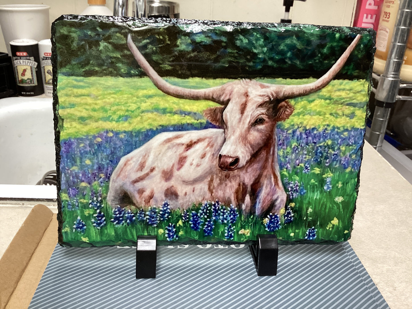 Bluebonnet Long Horn Slate A29