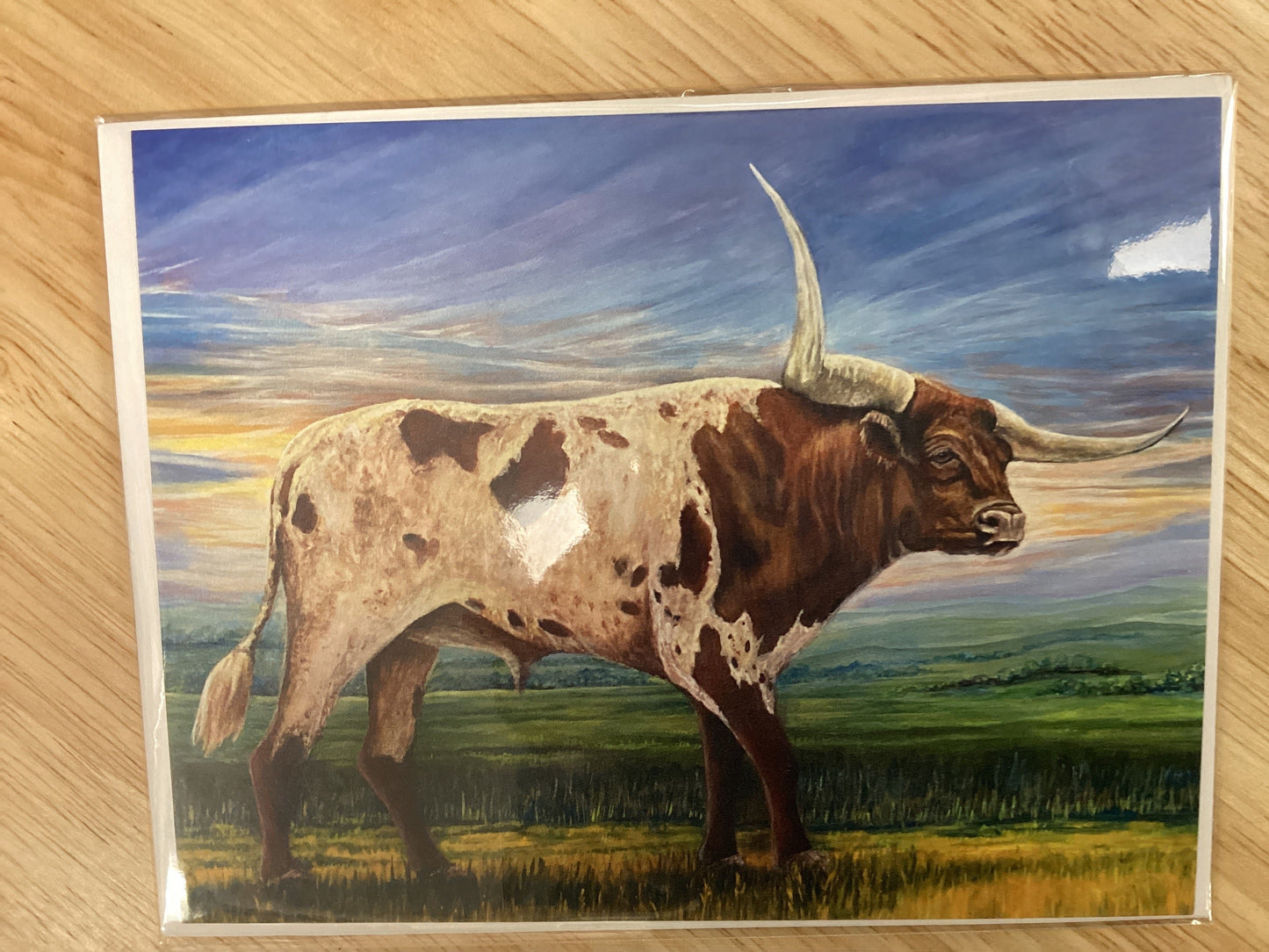 Texas Long Horn Card Set