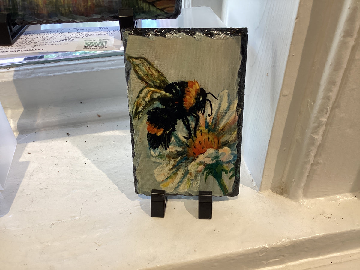 Bumble Bee Slate 10/18