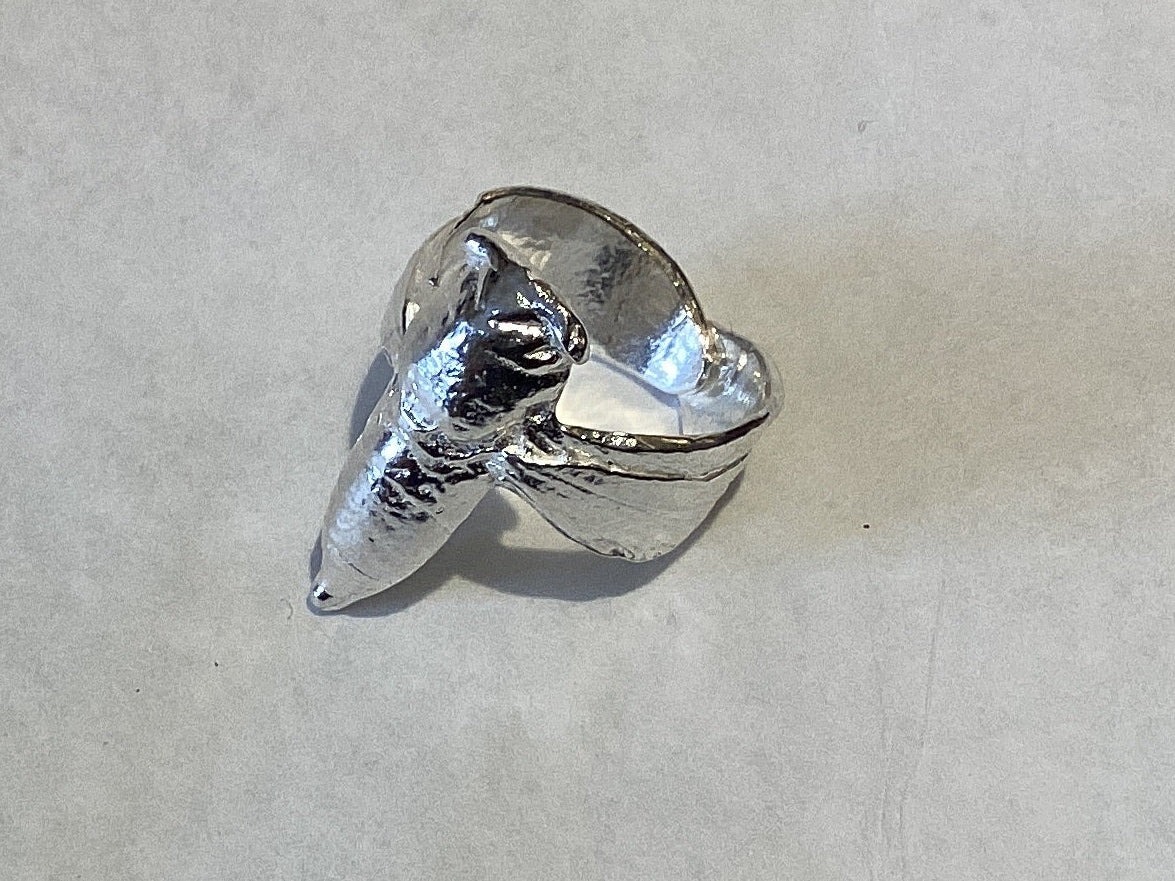 Cicada Wingspan Ring