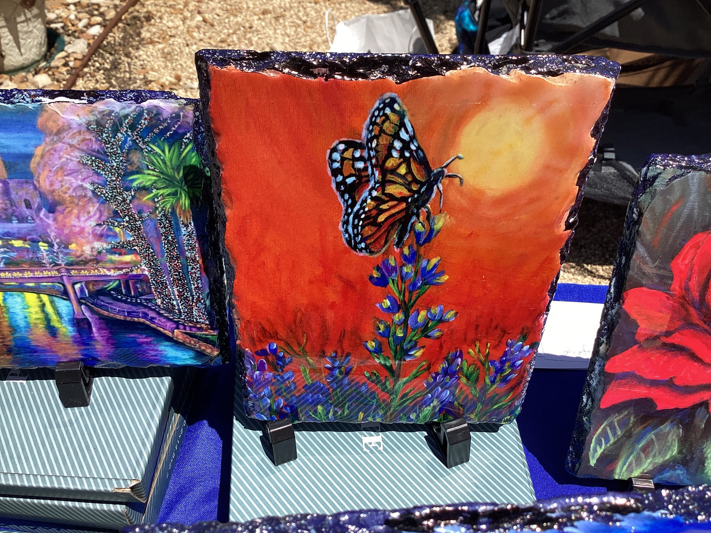 O monarch Bluebonnet Slate M2