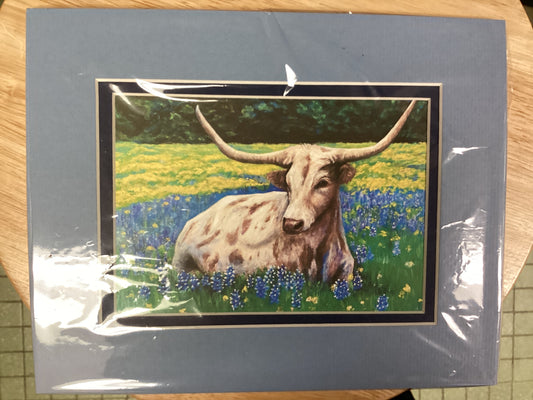 Texas Longhorn in Bluebonnet Field Print