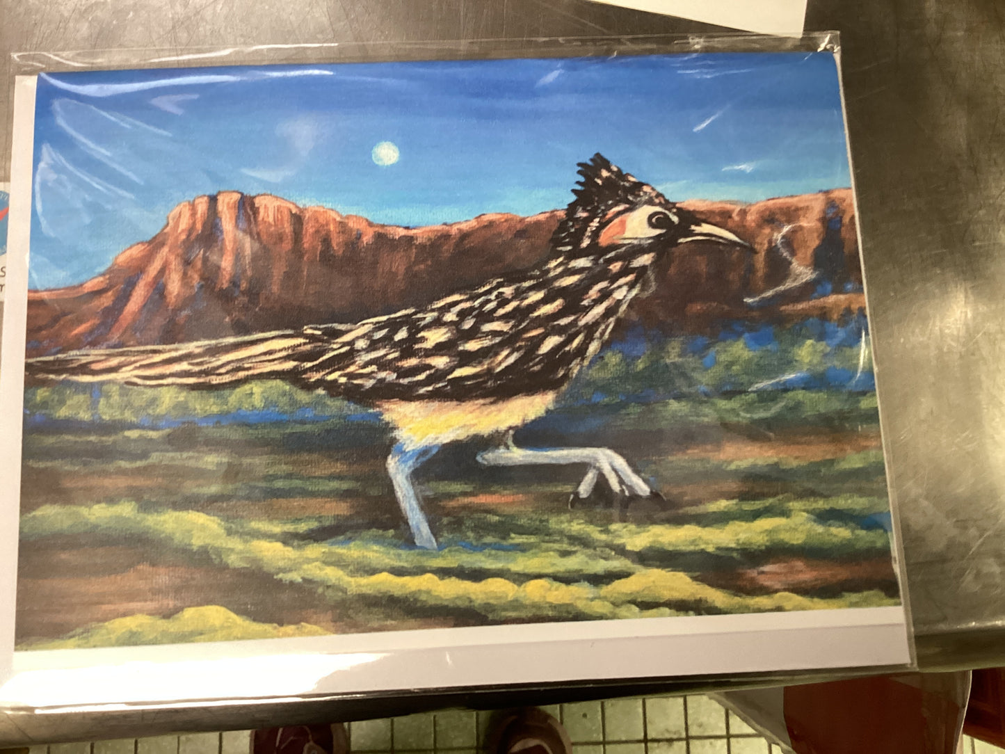 Big Bend Road Runner
