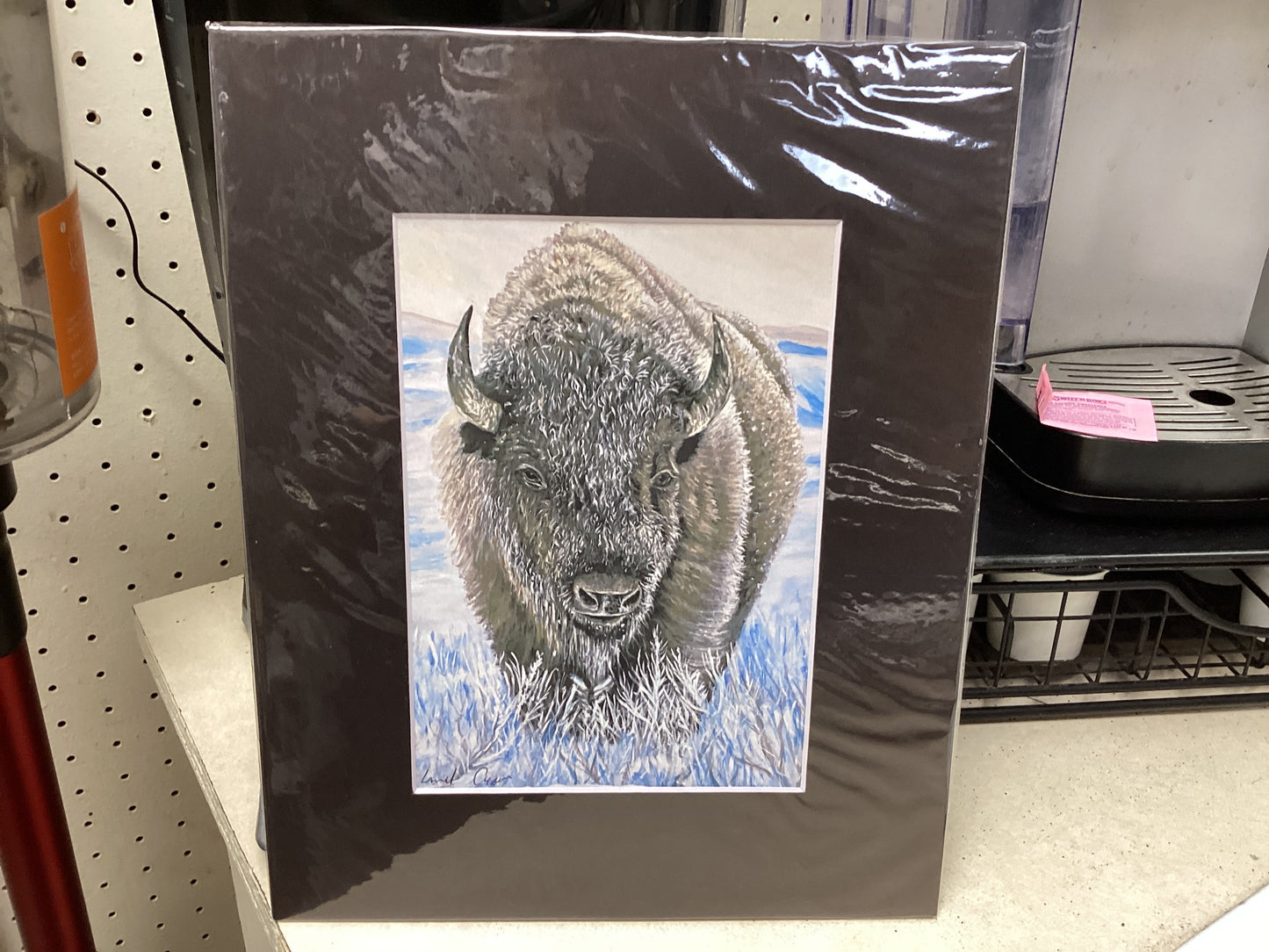 Bison in snow matte d print A17