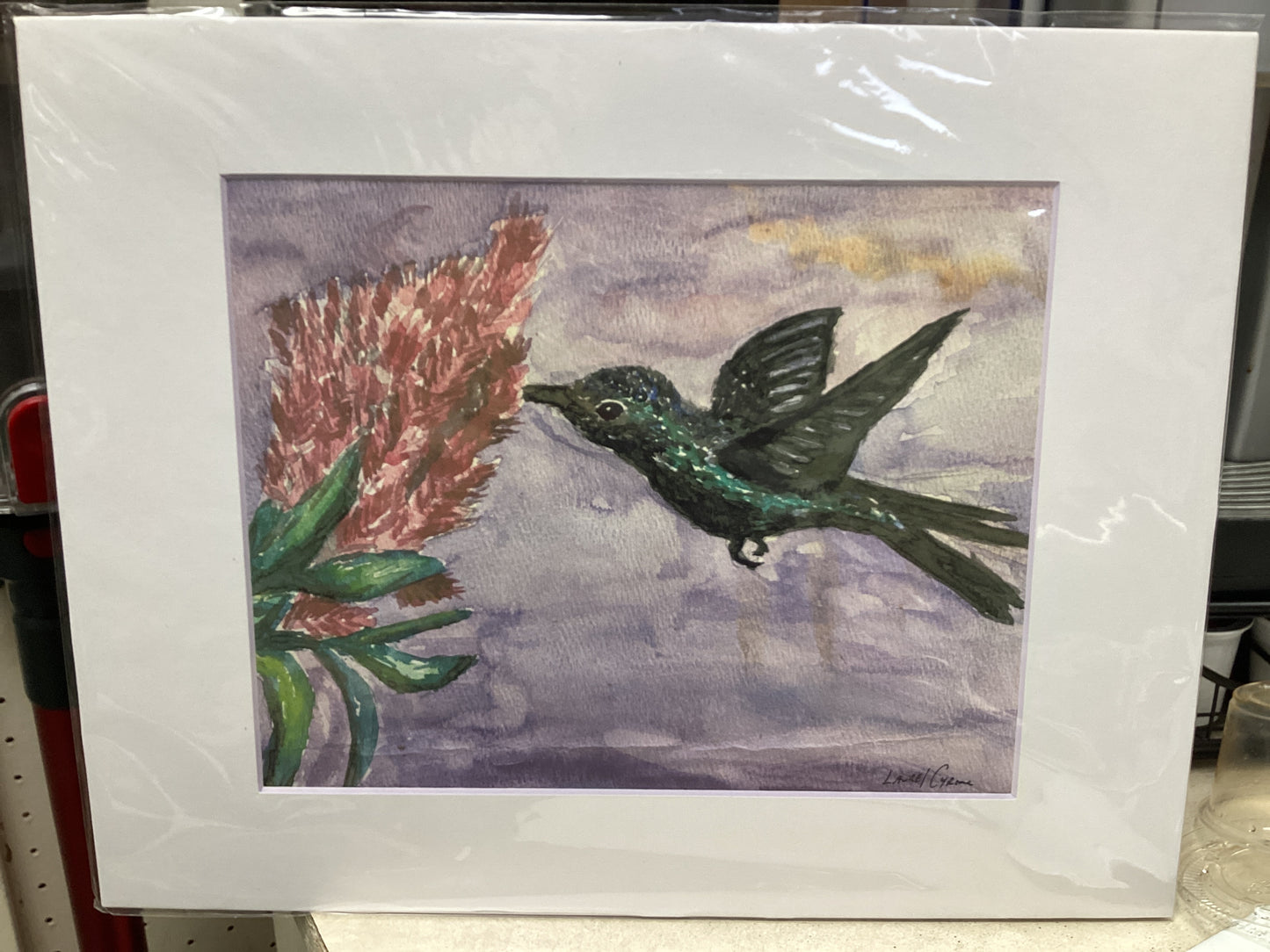 Hummingbird Matted Print M4