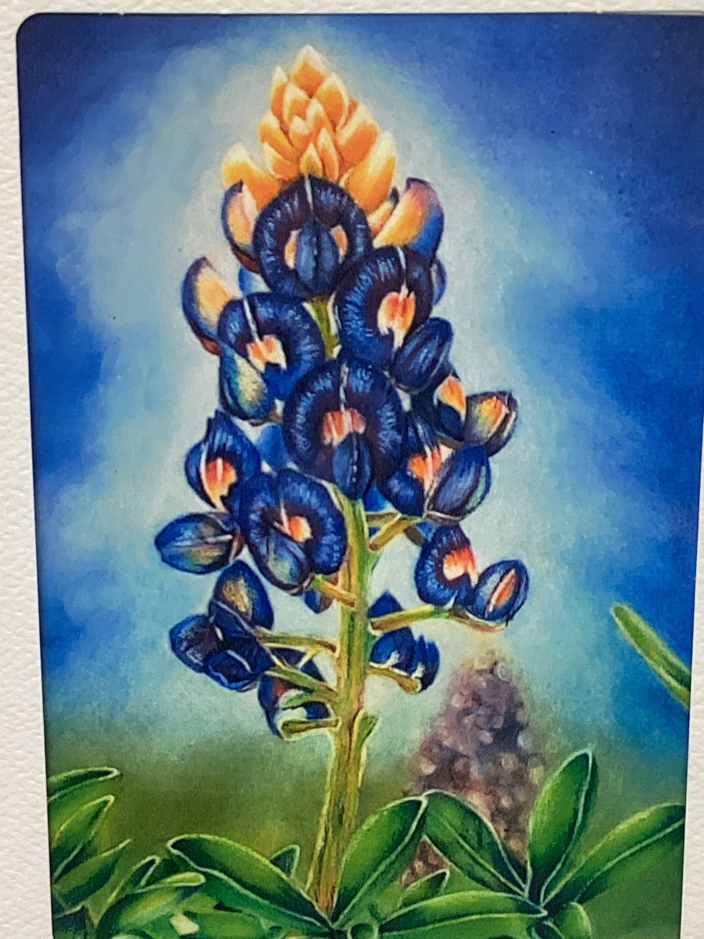 Juego de 2 cartas “Z”