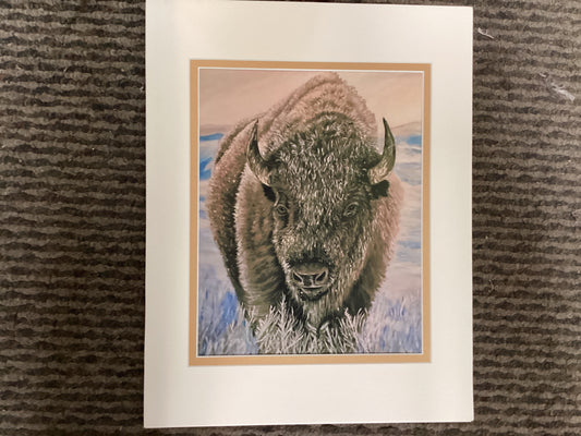 Buffalo in Snow Reproduction Print