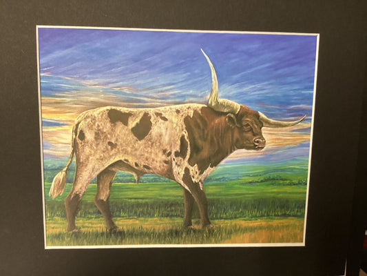 Texas Longhorn reproduction print