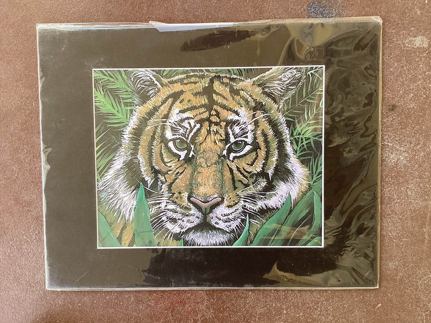 Tiger matted Print F23