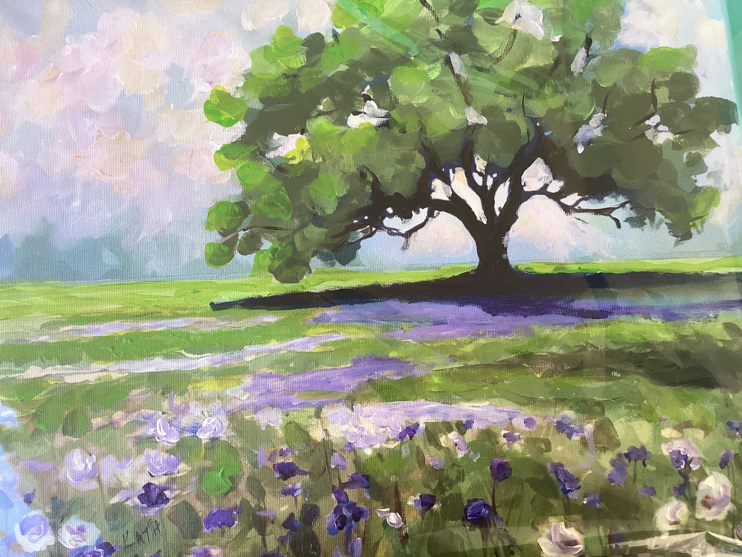 Spring in Texas