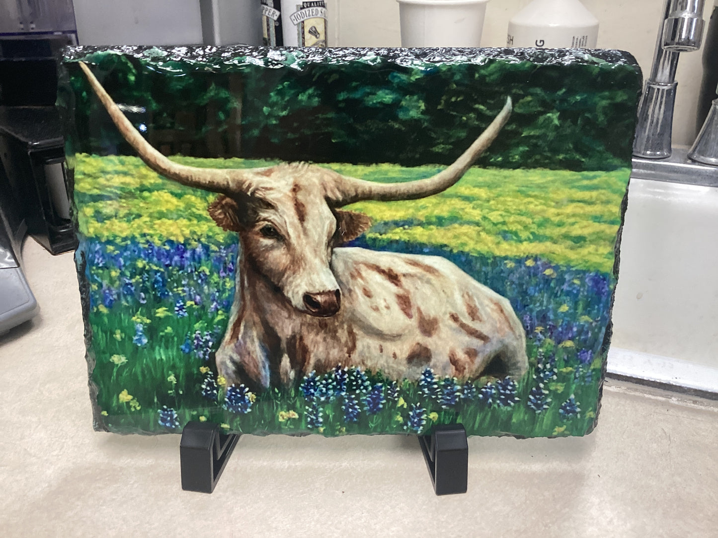 Bluebonnet Longhorn Slate M31