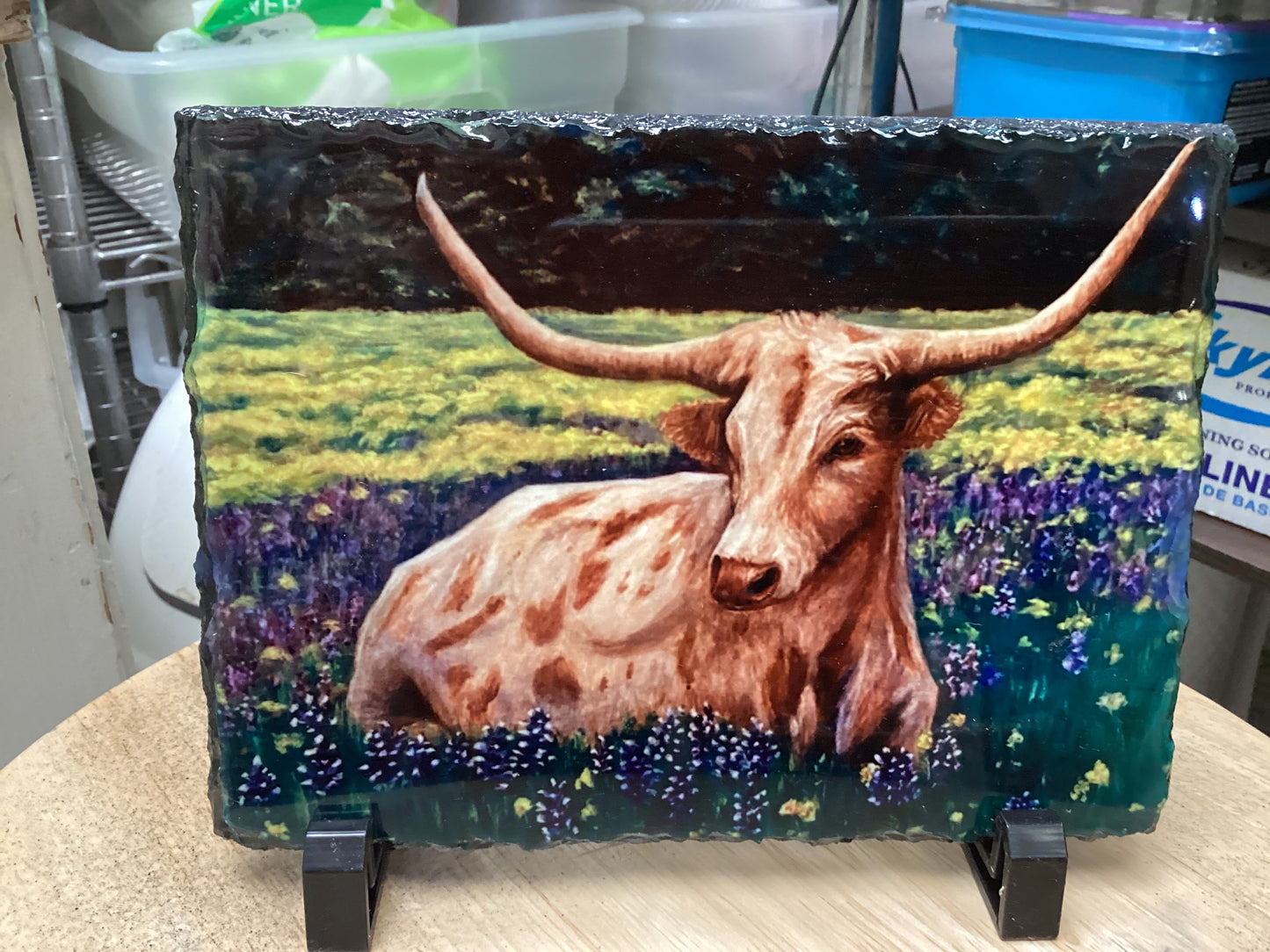 Bluebonnet Longhorn D7 Slate