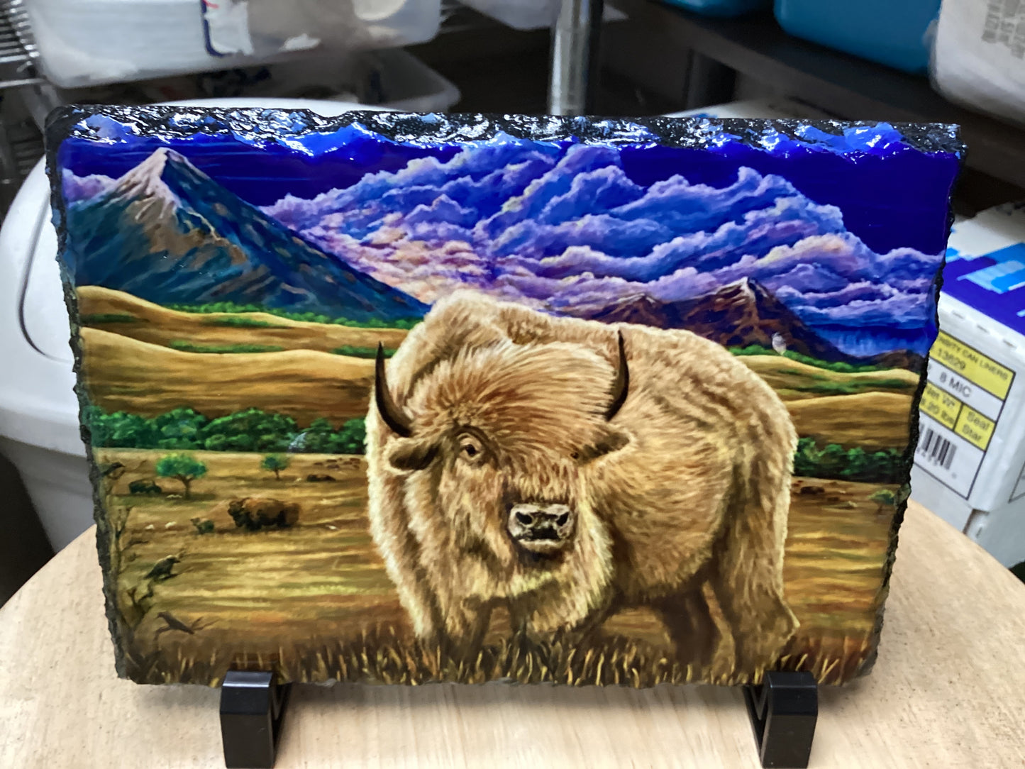 Majestic Buffalo Slate J22