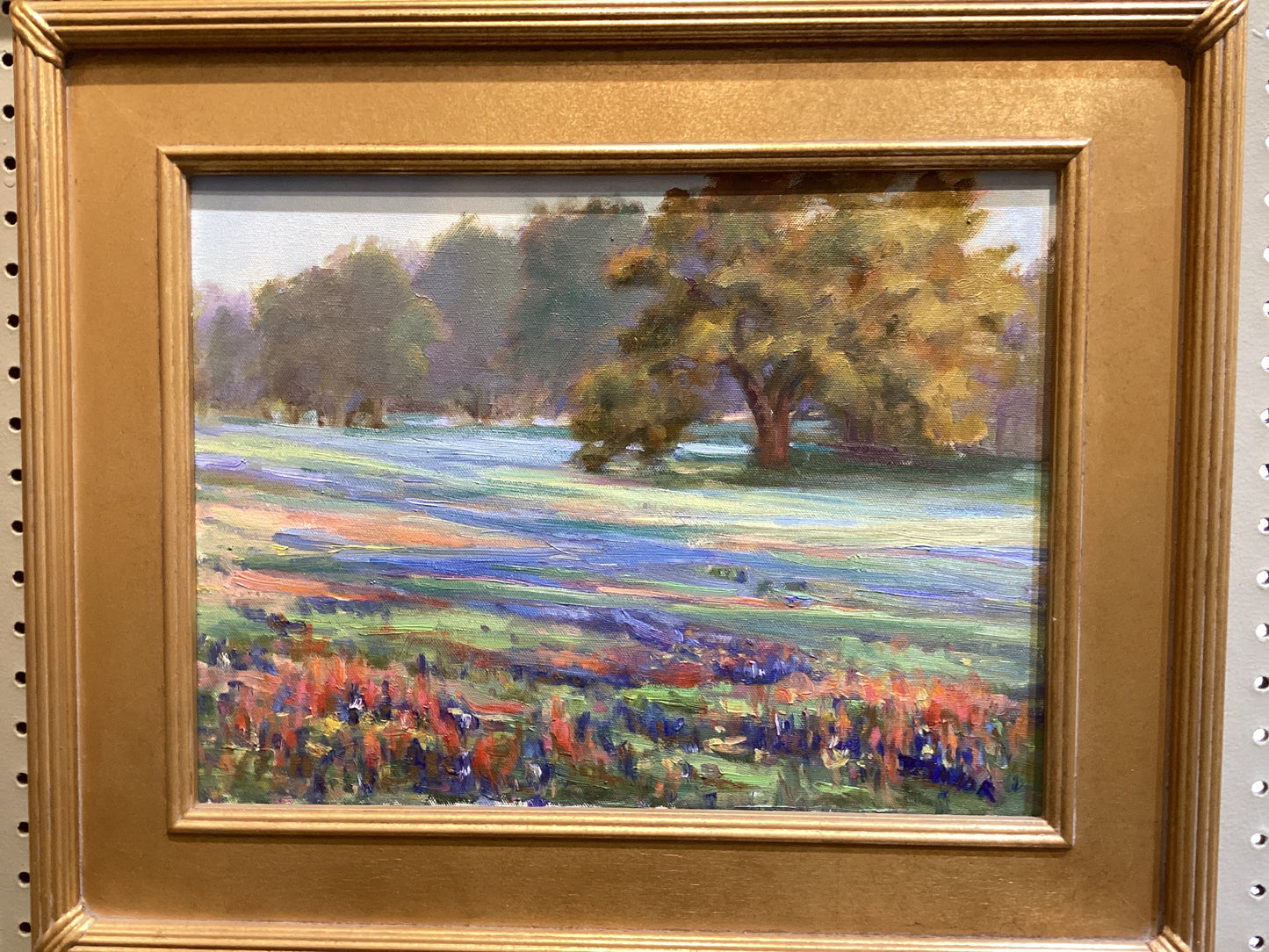 Alfombra azul de Texas