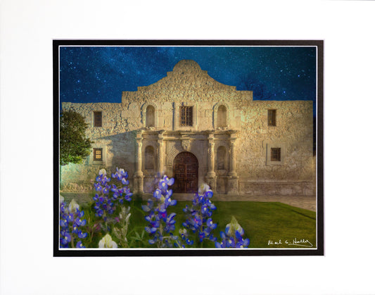 Alamo and Bluebonnets 16x20