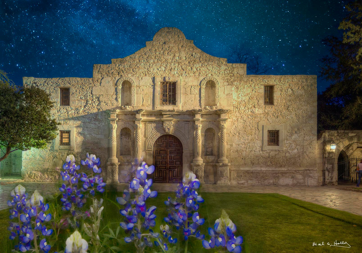 1 - Alamo in Bluebonnets 12x18 Metal Print