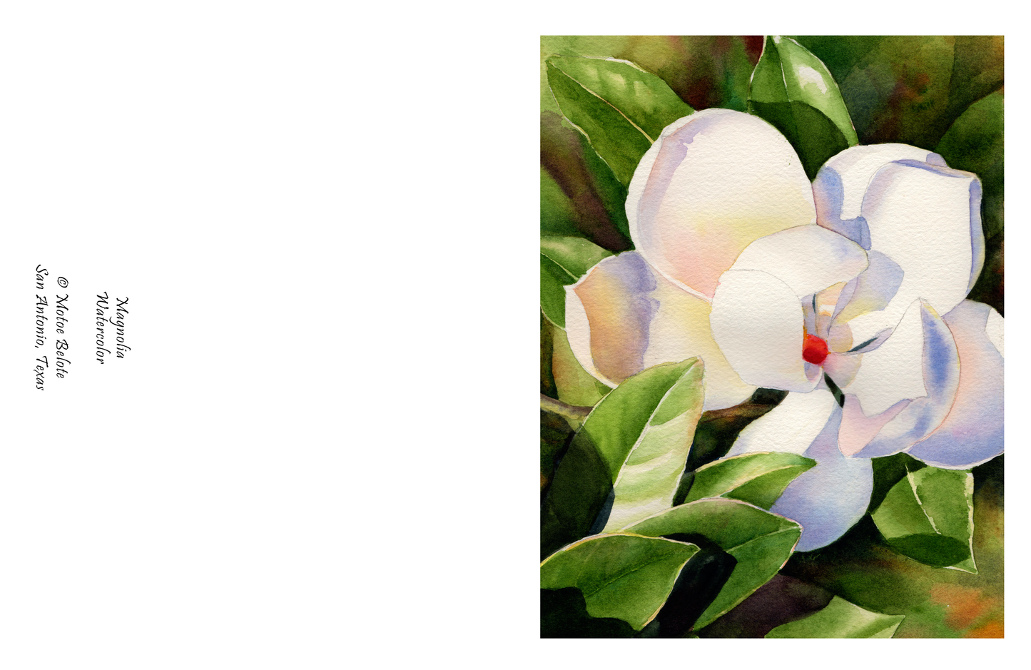Magnolia